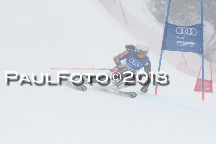 FIS Riesenslalom, Damen + Herren, Oberjoch, 15.02.2018