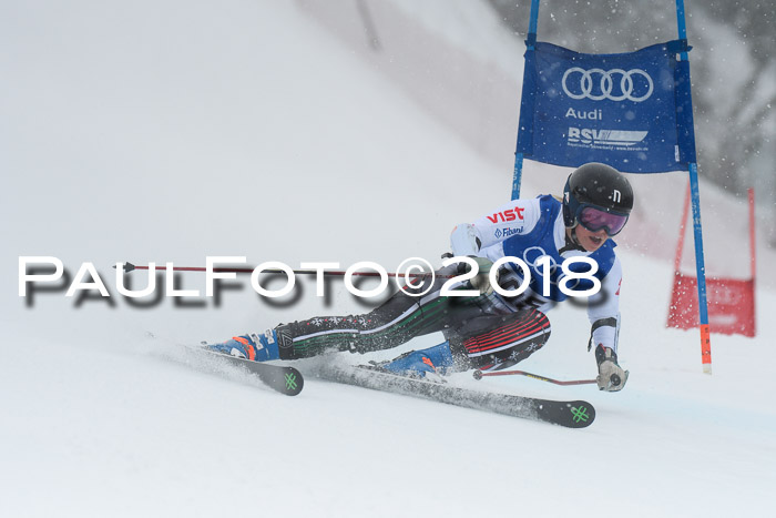 FIS Riesenslalom, Damen + Herren, Oberjoch, 15.02.2018