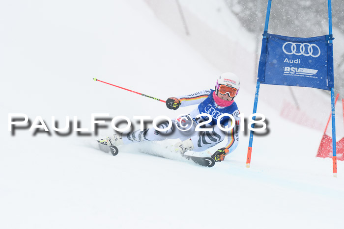 FIS Riesenslalom, Damen + Herren, Oberjoch, 15.02.2018