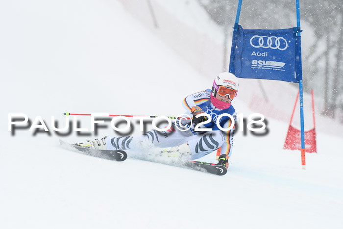 FIS Riesenslalom, Damen + Herren, Oberjoch, 15.02.2018