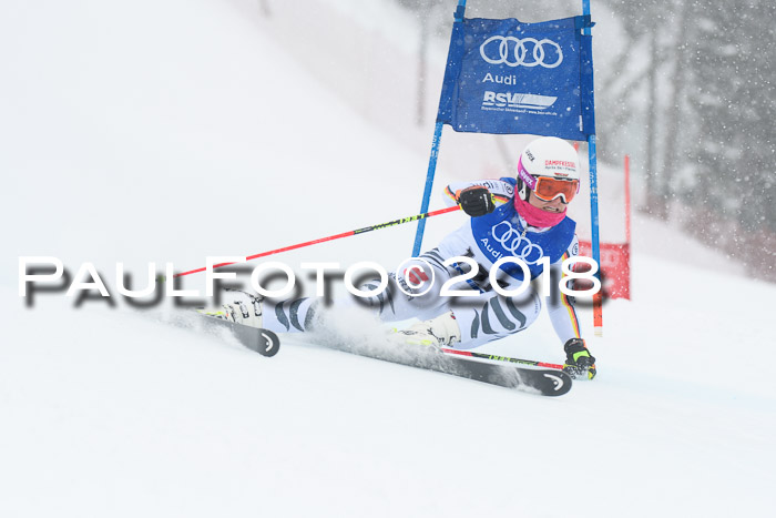 FIS Riesenslalom, Damen + Herren, Oberjoch, 15.02.2018