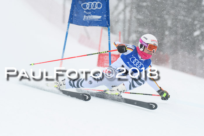 FIS Riesenslalom, Damen + Herren, Oberjoch, 15.02.2018