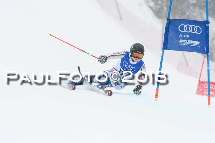 FIS Riesenslalom, Damen + Herren, Oberjoch, 15.02.2018