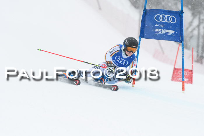 FIS Riesenslalom, Damen + Herren, Oberjoch, 15.02.2018