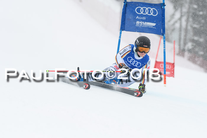 FIS Riesenslalom, Damen + Herren, Oberjoch, 15.02.2018