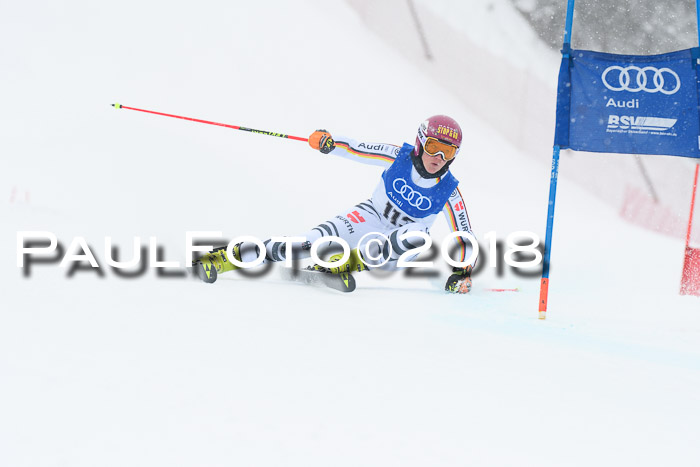 FIS Riesenslalom, Damen + Herren, Oberjoch, 15.02.2018