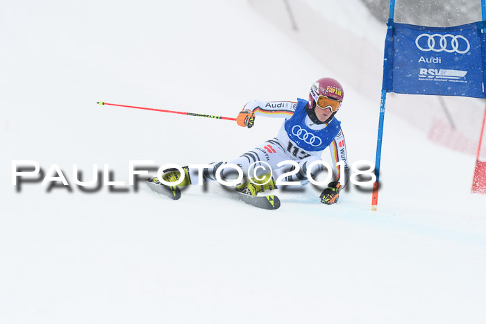 FIS Riesenslalom, Damen + Herren, Oberjoch, 15.02.2018