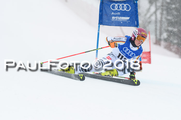 FIS Riesenslalom, Damen + Herren, Oberjoch, 15.02.2018