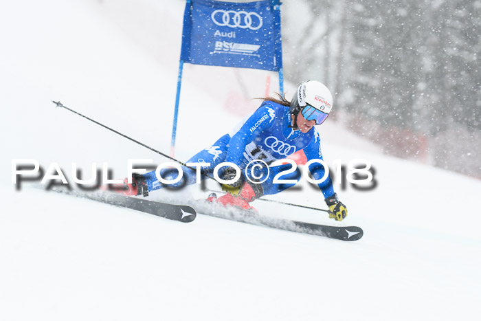 FIS Riesenslalom, Damen + Herren, Oberjoch, 15.02.2018