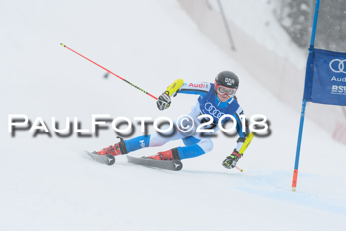 FIS Riesenslalom, Damen + Herren, Oberjoch, 15.02.2018