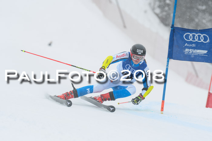 FIS Riesenslalom, Damen + Herren, Oberjoch, 15.02.2018