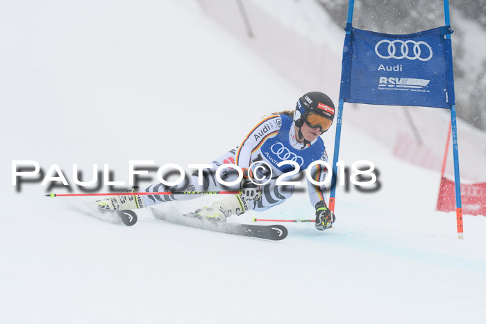 FIS Riesenslalom, Damen + Herren, Oberjoch, 15.02.2018