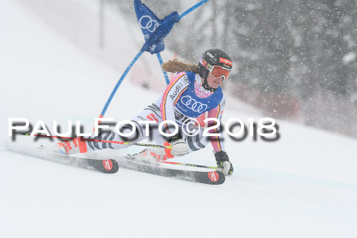 FIS Riesenslalom, Damen + Herren, Oberjoch, 15.02.2018