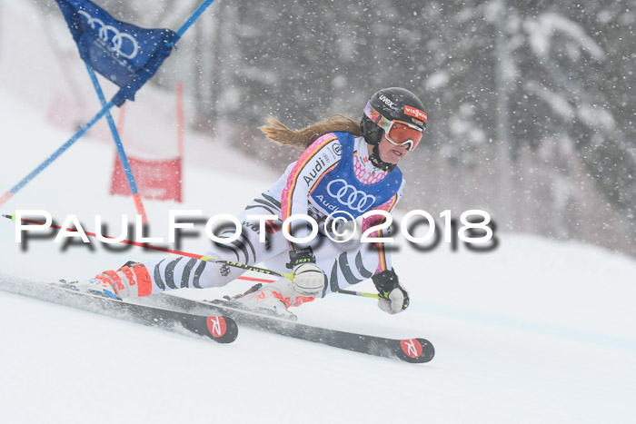 FIS Riesenslalom, Damen + Herren, Oberjoch, 15.02.2018