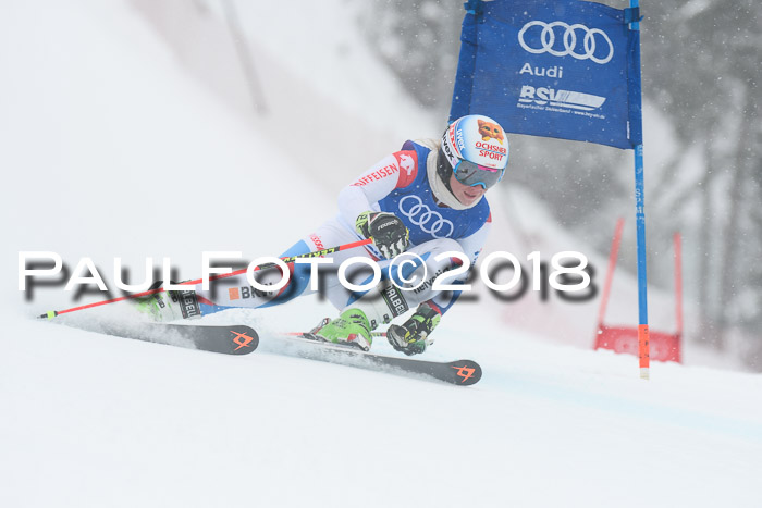 FIS Riesenslalom, Damen + Herren, Oberjoch, 15.02.2018