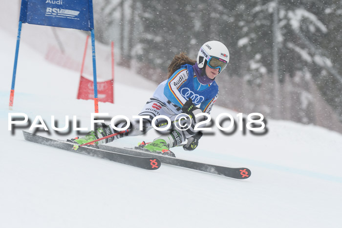 FIS Riesenslalom, Damen + Herren, Oberjoch, 15.02.2018