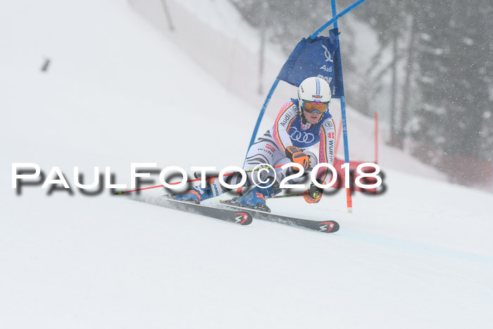 FIS Riesenslalom, Damen + Herren, Oberjoch, 15.02.2018