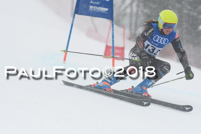 FIS Riesenslalom, Damen + Herren, Oberjoch, 15.02.2018