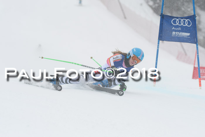 FIS Riesenslalom, Damen + Herren, Oberjoch, 15.02.2018