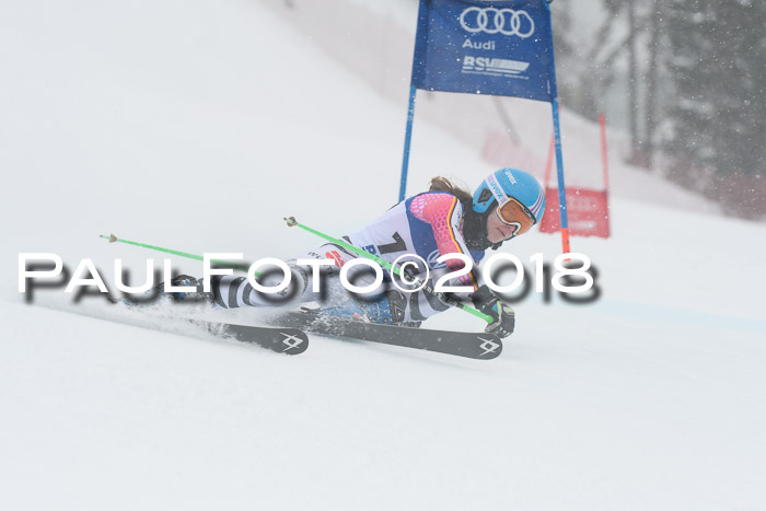 FIS Riesenslalom, Damen + Herren, Oberjoch, 15.02.2018