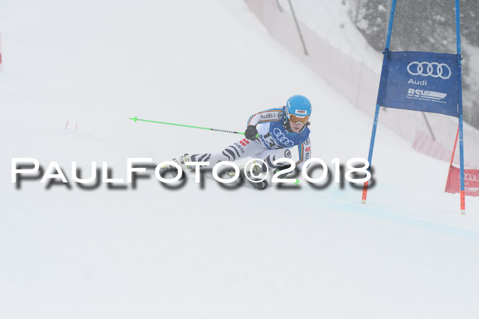 FIS Riesenslalom, Damen + Herren, Oberjoch, 15.02.2018