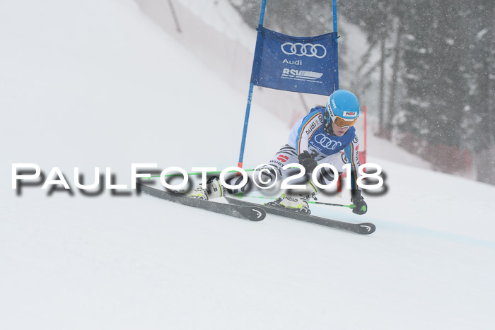 FIS Riesenslalom, Damen + Herren, Oberjoch, 15.02.2018