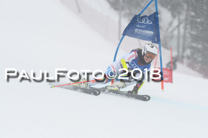 FIS Riesenslalom, Damen + Herren, Oberjoch, 15.02.2018