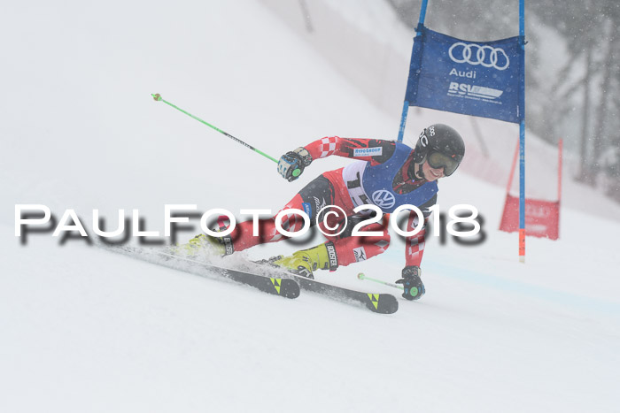 FIS Riesenslalom, Damen + Herren, Oberjoch, 15.02.2018