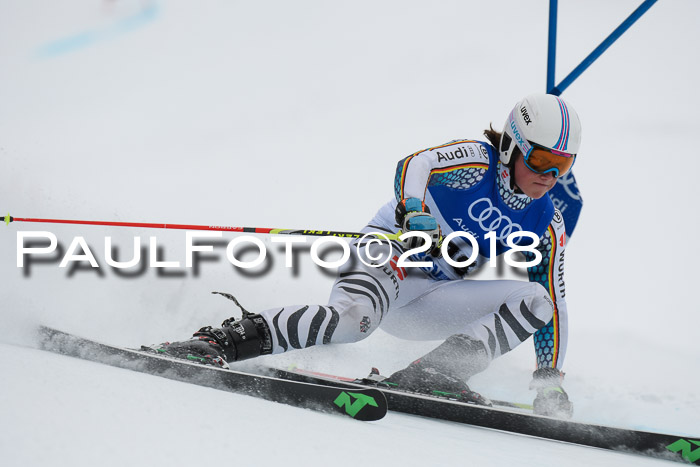 FIS Riesenslalom, Damen + Herren, Oberjoch, 15.02.2018