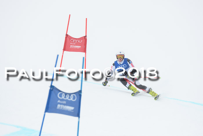 FIS Riesenslalom, Damen + Herren, Oberjoch, 15.02.2018