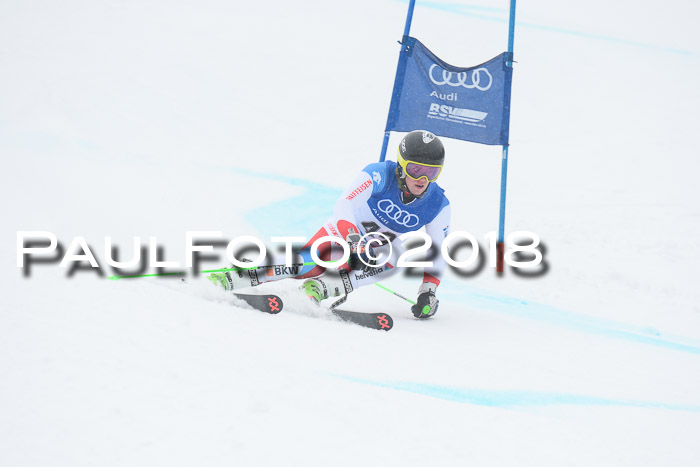 FIS Riesenslalom, Damen + Herren, Oberjoch, 15.02.2018