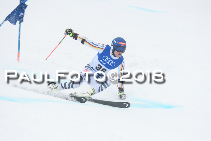 FIS Riesenslalom, Damen + Herren, Oberjoch, 15.02.2018