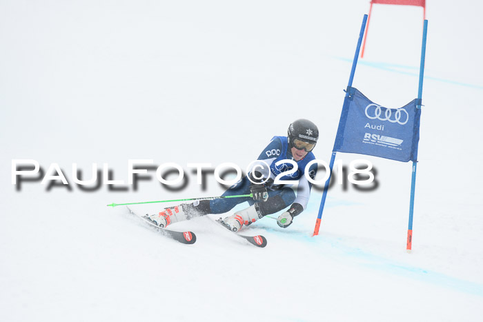 FIS Riesenslalom, Damen + Herren, Oberjoch, 15.02.2018