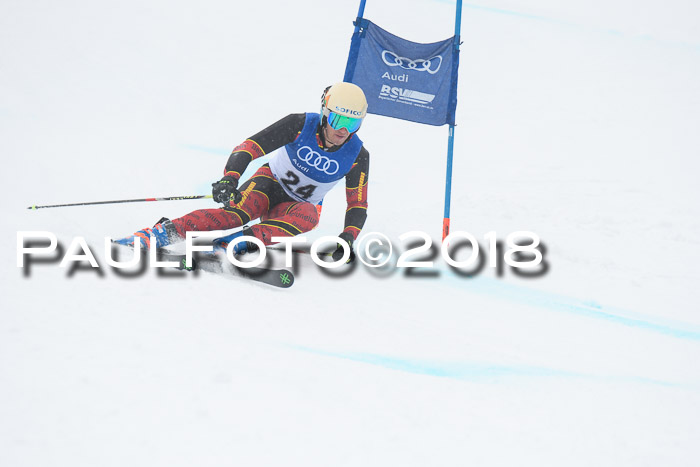 FIS Riesenslalom, Damen + Herren, Oberjoch, 15.02.2018