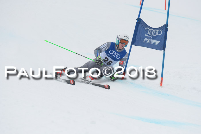 FIS Riesenslalom, Damen + Herren, Oberjoch, 15.02.2018