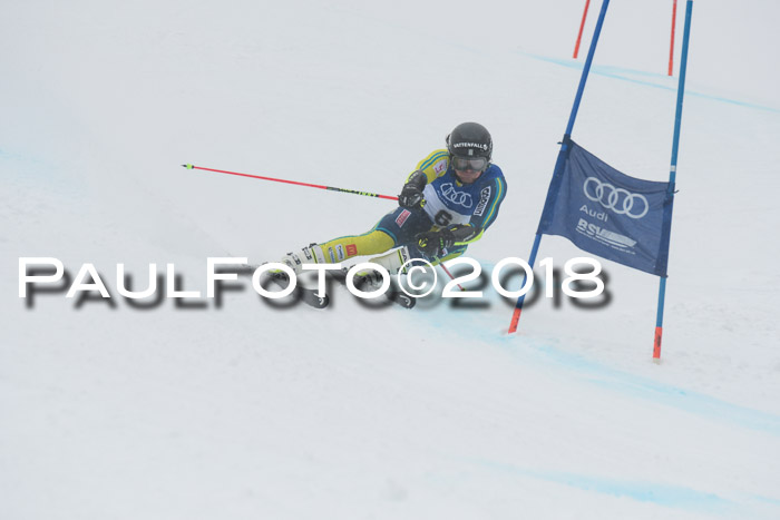 FIS Riesenslalom, Damen + Herren, Oberjoch, 15.02.2018