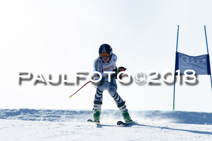 DSV Schülercup Super-G, 19.02.2018