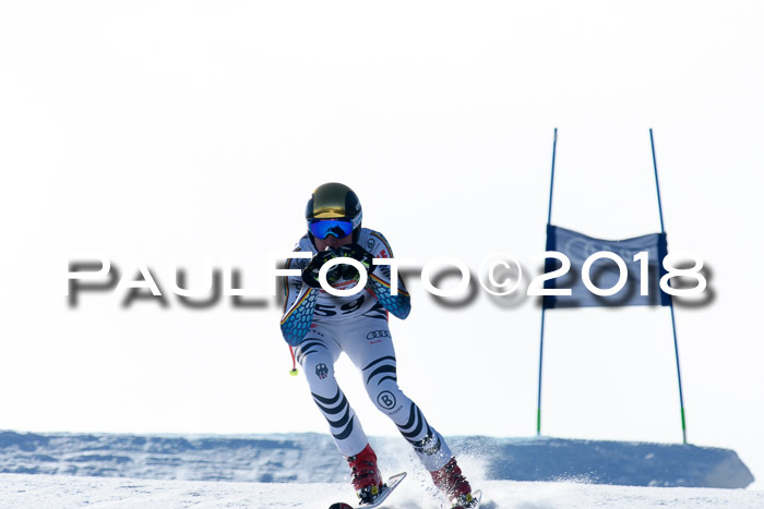 DSV Schülercup Super-G, 19.02.2018