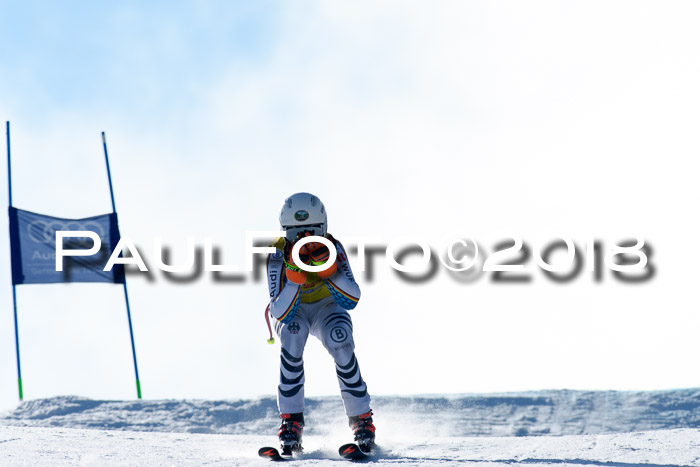 DSV Schülercup Super-G, 19.02.2018