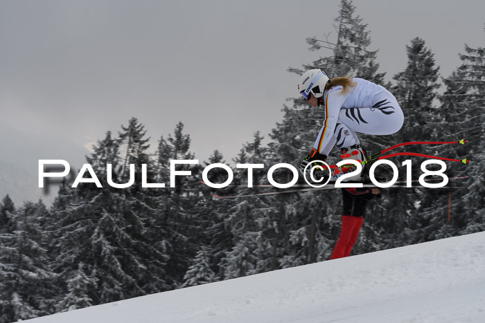 DSV Schülercup Super-G, 19.02.2018