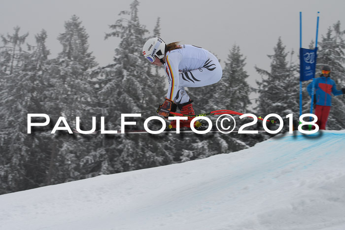 DSV Schülercup Super-G, 19.02.2018