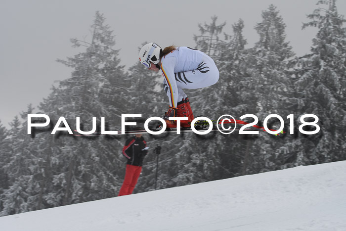 DSV Schülercup Super-G, 19.02.2018