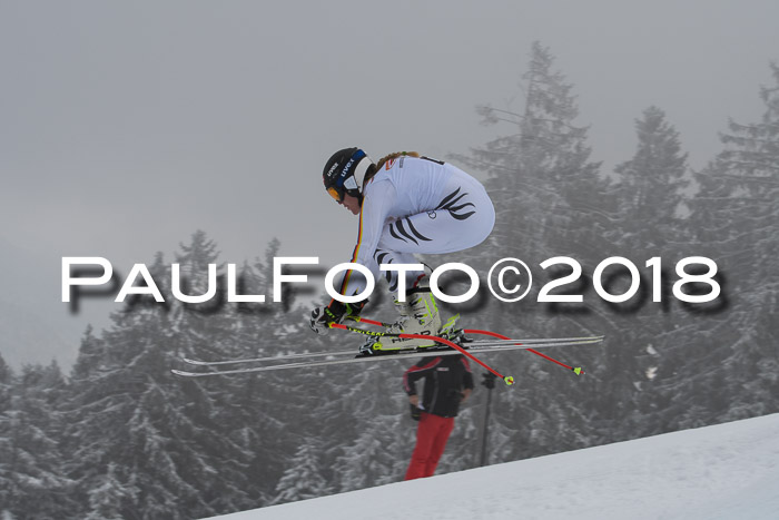 DSV Schülercup Super-G, 19.02.2018