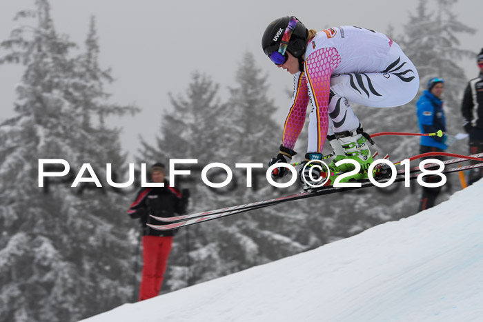 DSV Schülercup Super-G, 19.02.2018