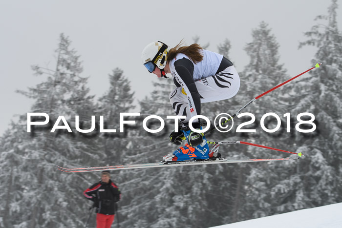 DSV Schülercup Super-G, 19.02.2018