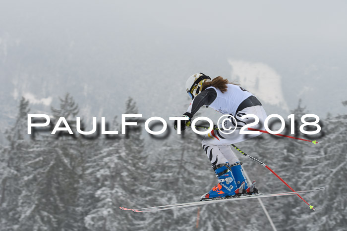 DSV Schülercup Super-G, 19.02.2018