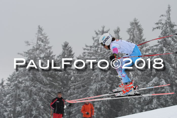 DSV Schülercup Super-G, 19.02.2018