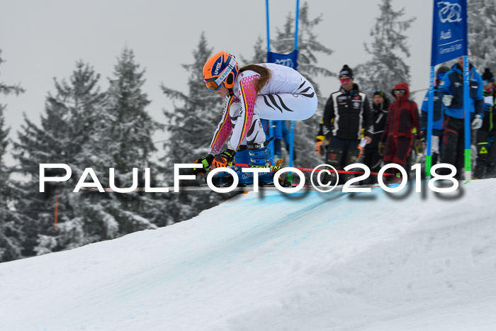 DSV Schülercup Super-G, 19.02.2018