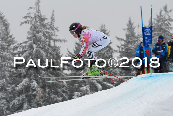 DSV Schülercup Super-G, 19.02.2018