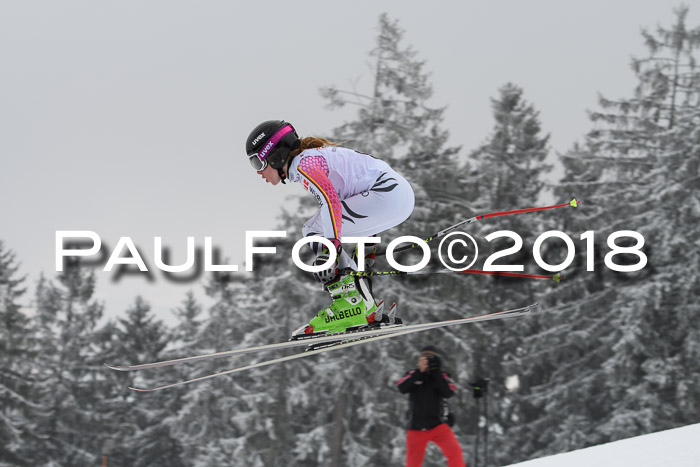 DSV Schülercup Super-G, 19.02.2018